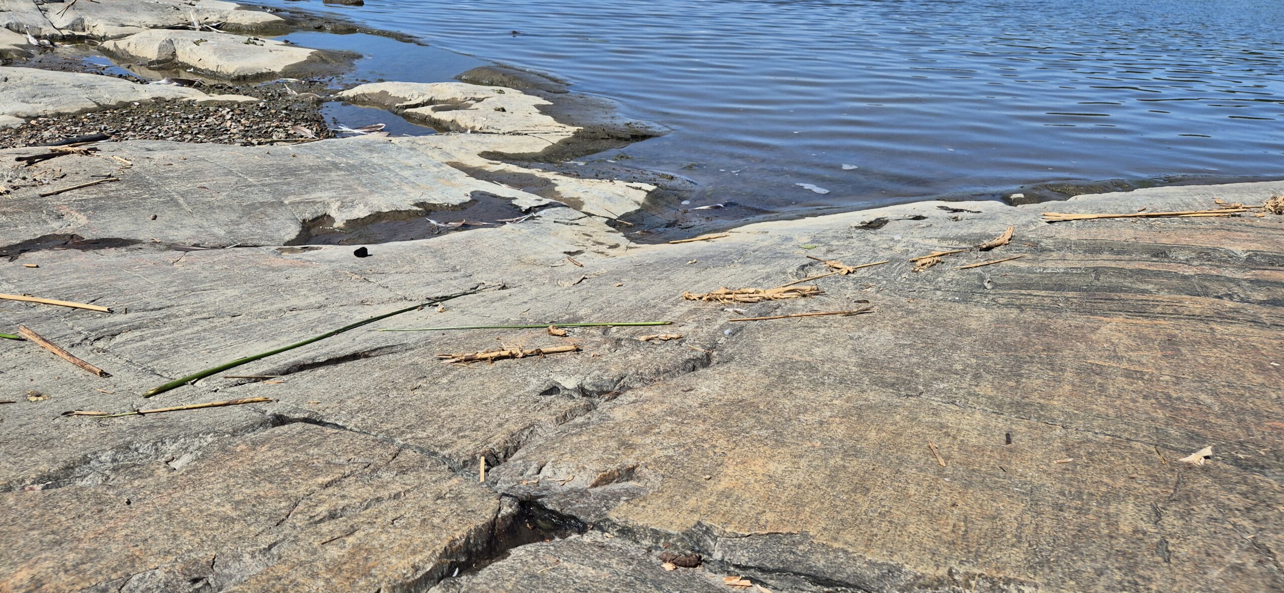 Hallitustyö