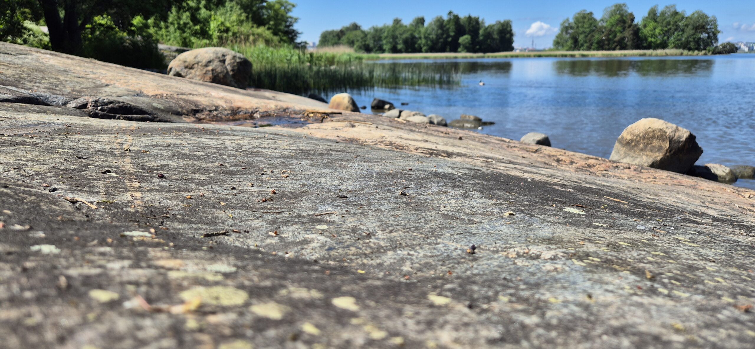 Myynnin johtaminen