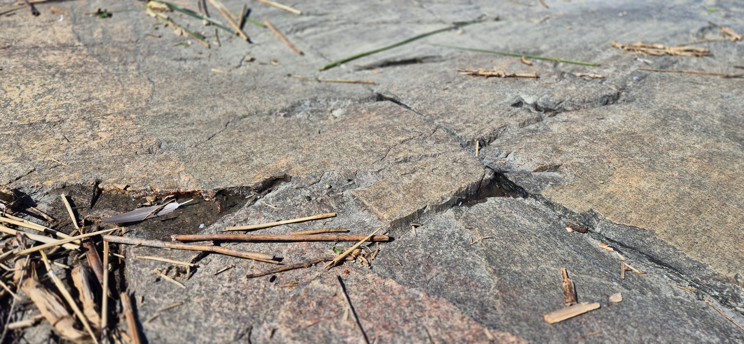 Yleisjohtaminen ja esihenkilötyö
